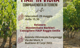 REGGIO EMILIA – 29/05/2024 | Fiaip in vigna – Compravendita terreni